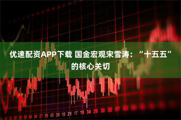 优速配资APP下载 国金宏观宋雪涛：“十五五”的核心关切