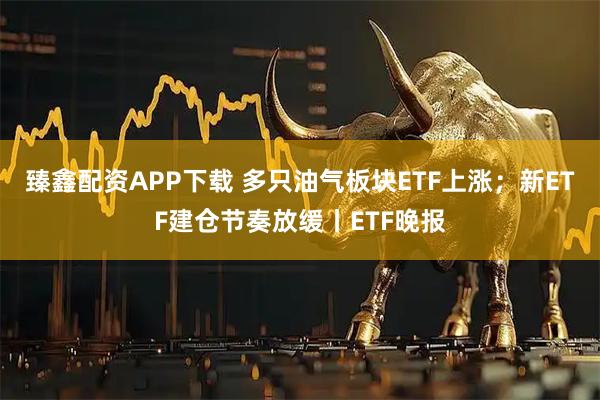 臻鑫配资APP下载 多只油气板块ETF上涨；新ETF建仓节奏放缓丨ETF晚报