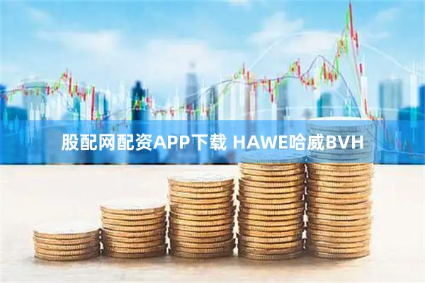 股配网配资APP下载 HAWE哈威BVH