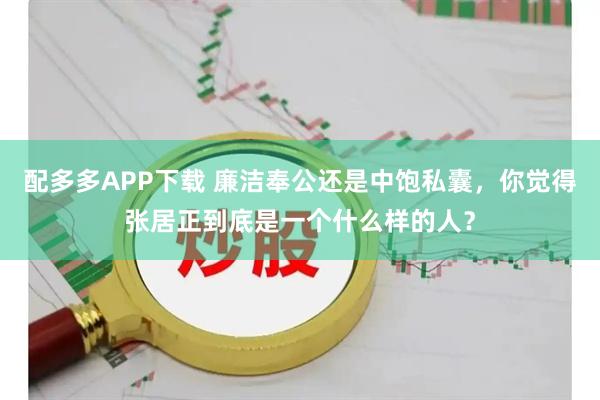 配多多APP下载 廉洁奉公还是中饱私囊，你觉得张居正到底是一个什么样的人？